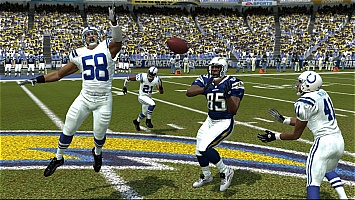 madden081129.jpg