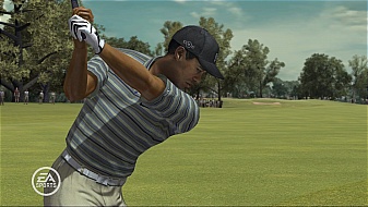 Tiger Woods 08