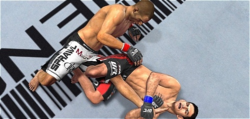 ufc20100227