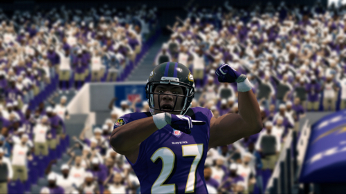 madden25rayricecelebration